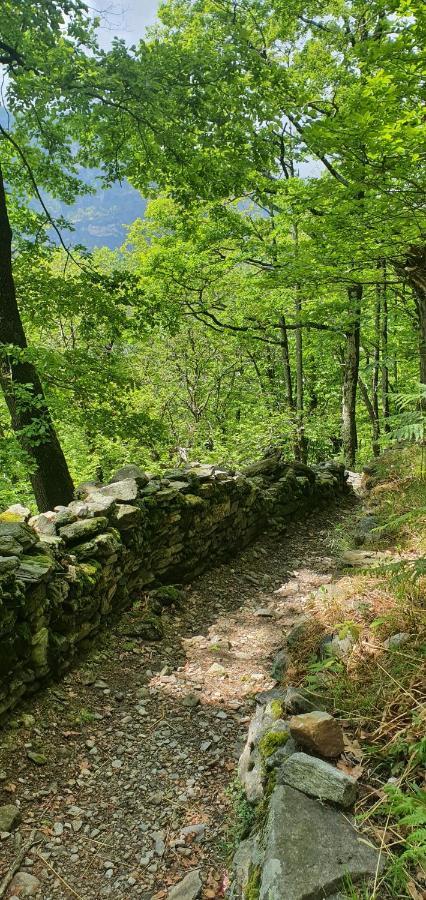 Rustico Pult Vila Someo Exterior foto